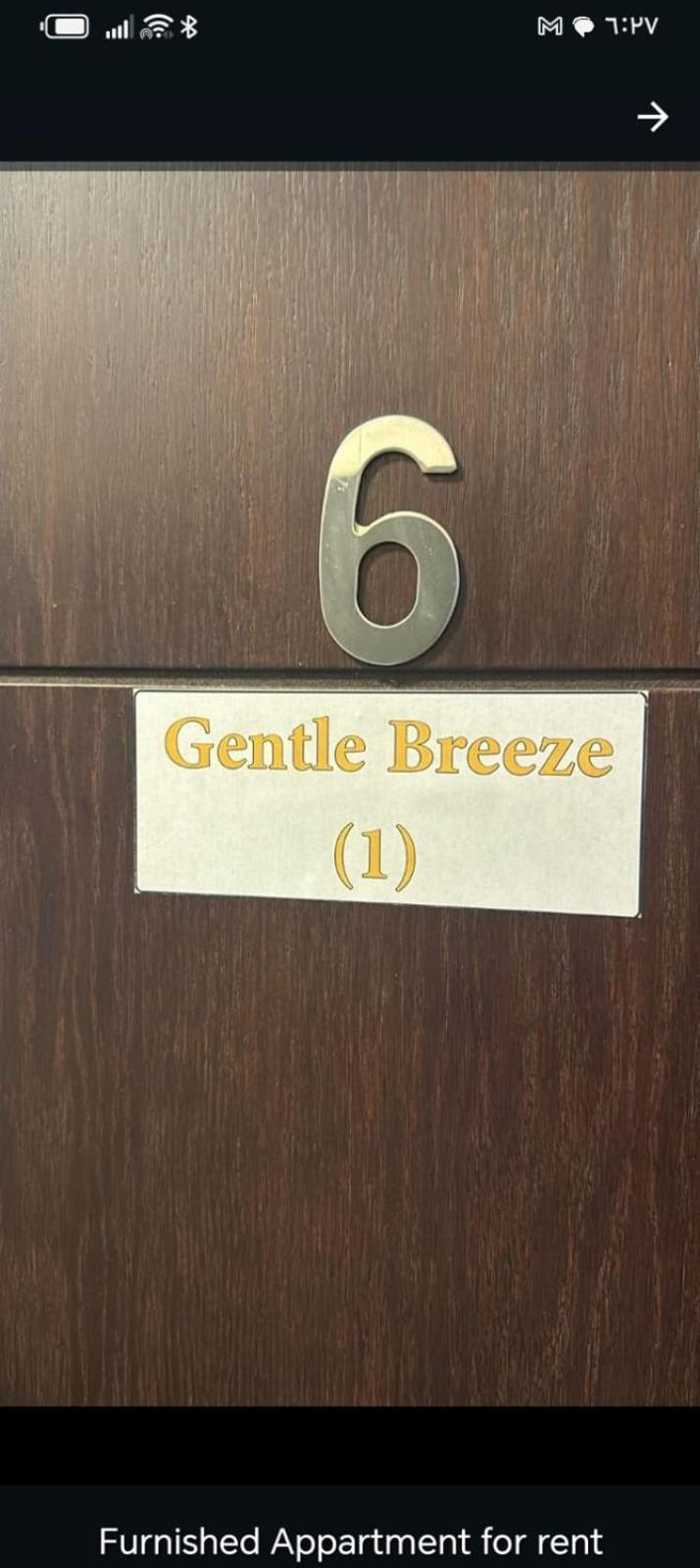 Gentle Breeze Studio 2 Amman Bagian luar foto